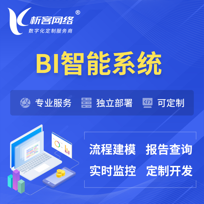 庆阳BI智能系统 | BI数据可视化